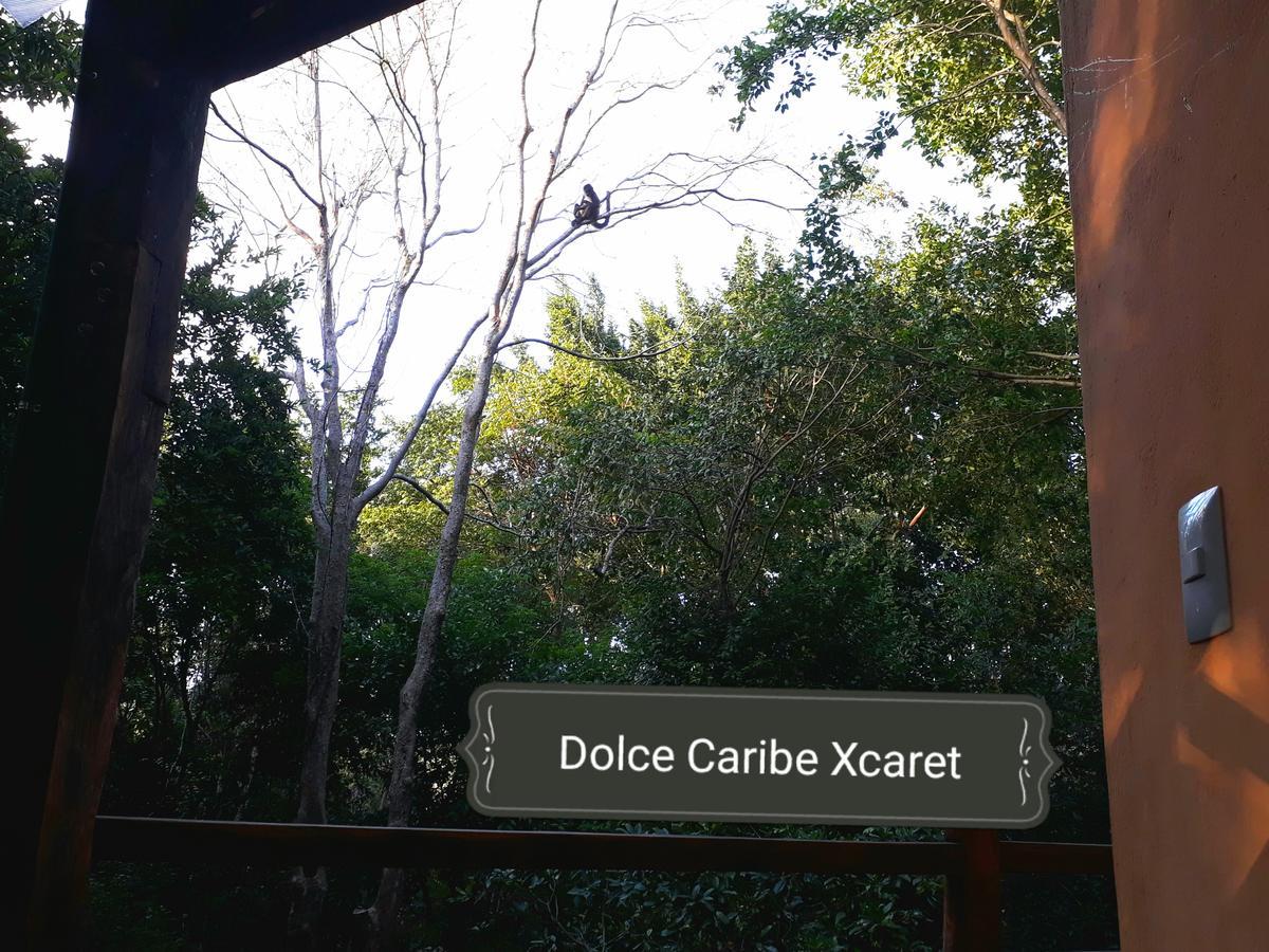 Bed & Breakfast Dolce Caribe Xcaret