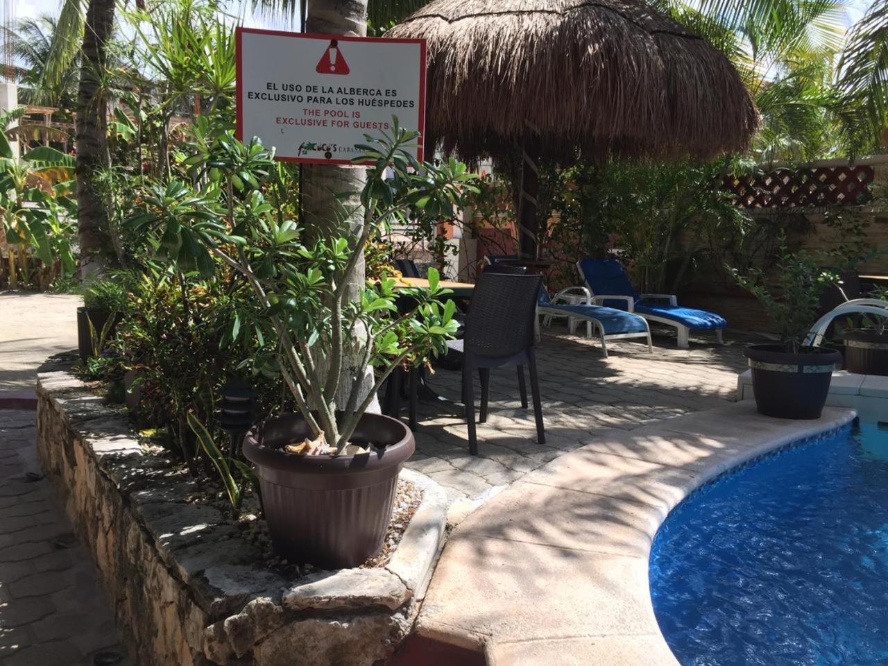 Cocos Adults Only Playa del Carmen