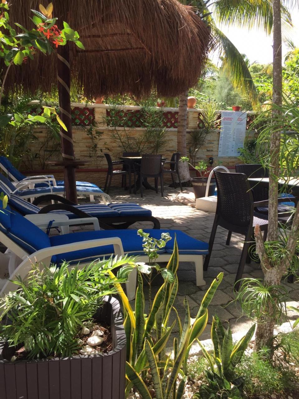Cocos Adults Only 3* Playa del Carmen