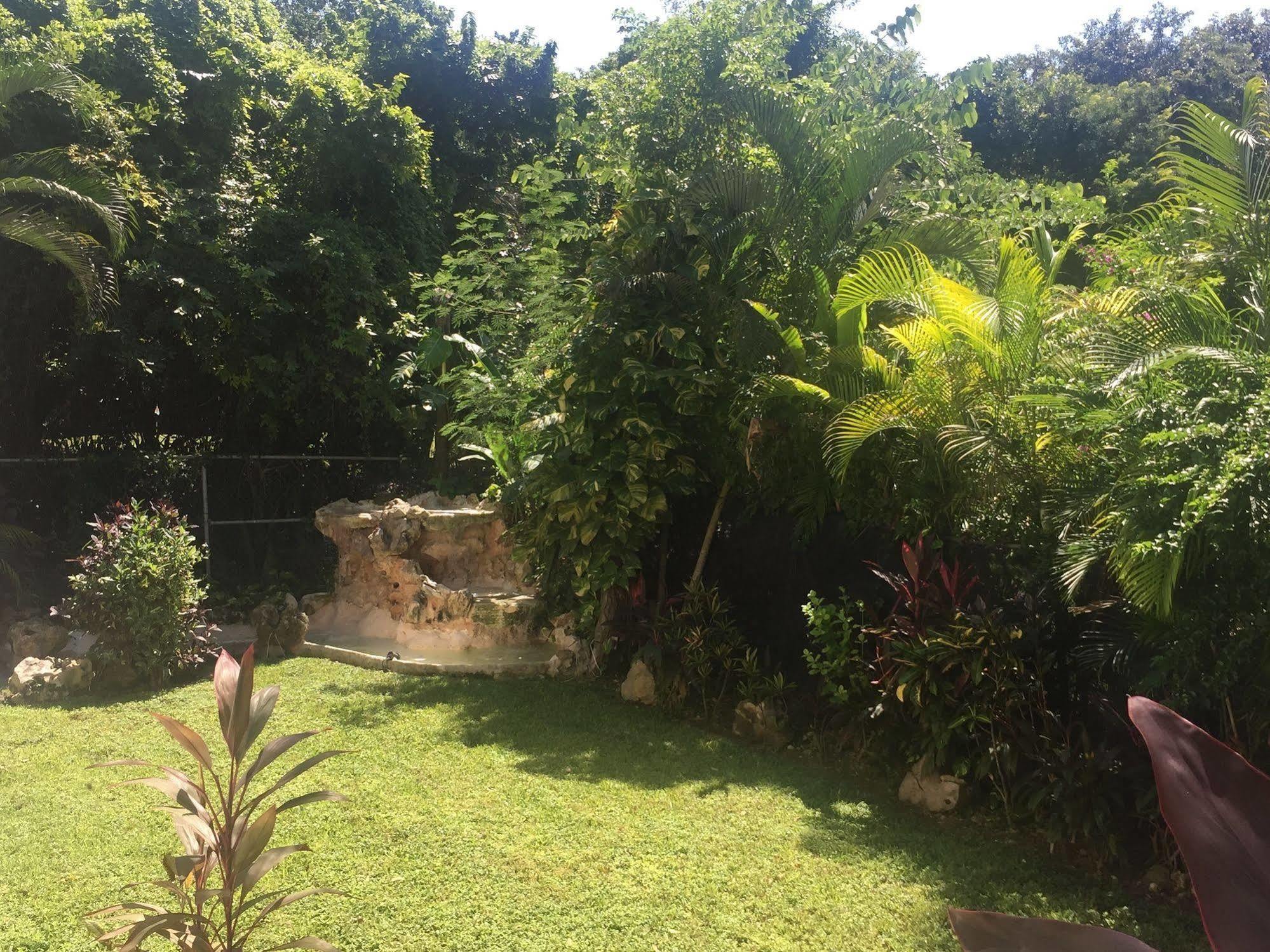 Bed & Breakfast Oasis Boutique 3*