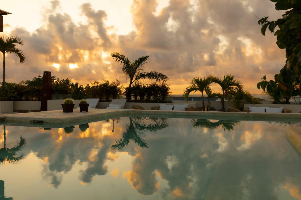 The Palm (adults Only) Hotel