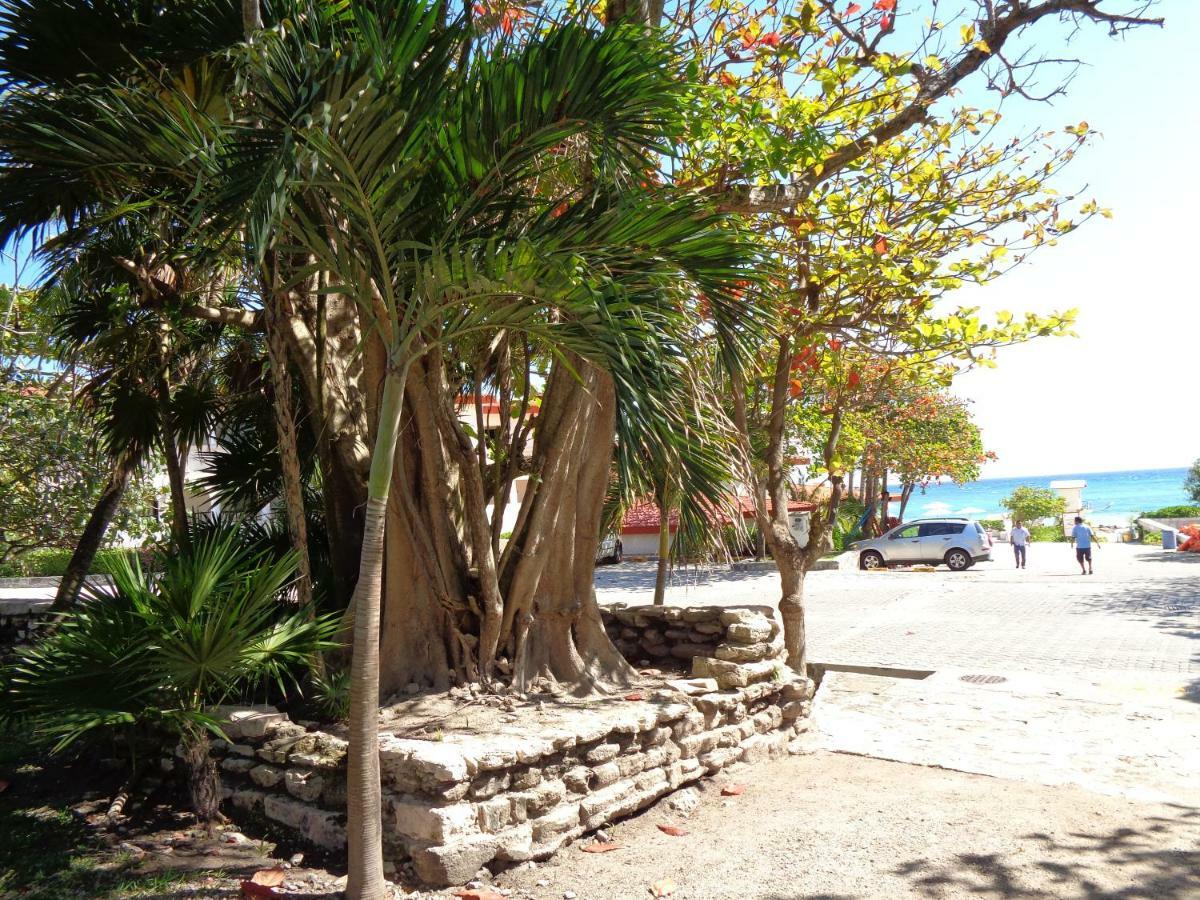 Casa Sonrisas Apartment Playa del Carmen