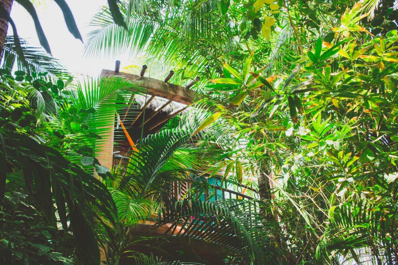 Hotel Cocos Adults Only Playa del Carmen