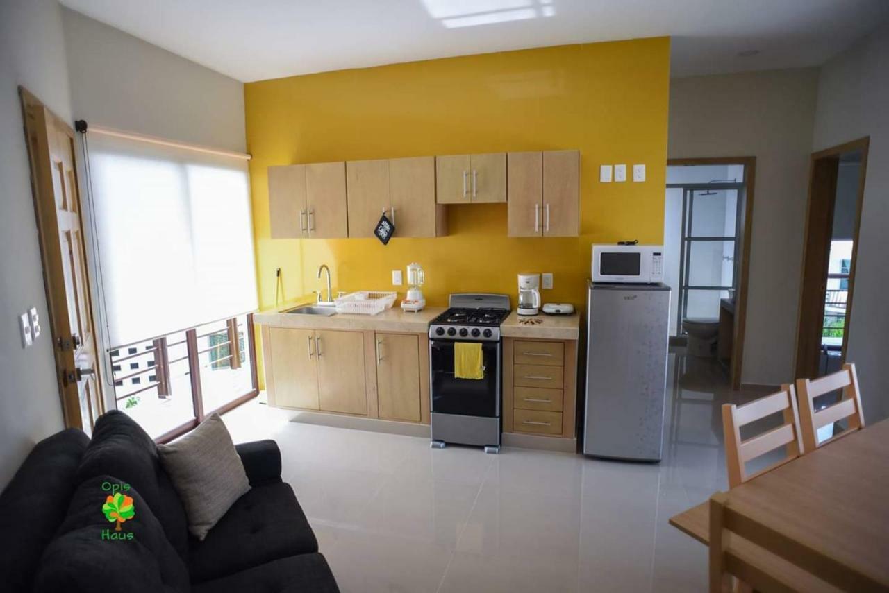 Opis Haus Apartment