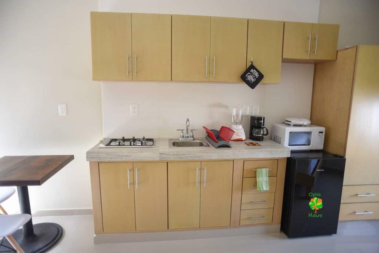 Opis Haus Apartment