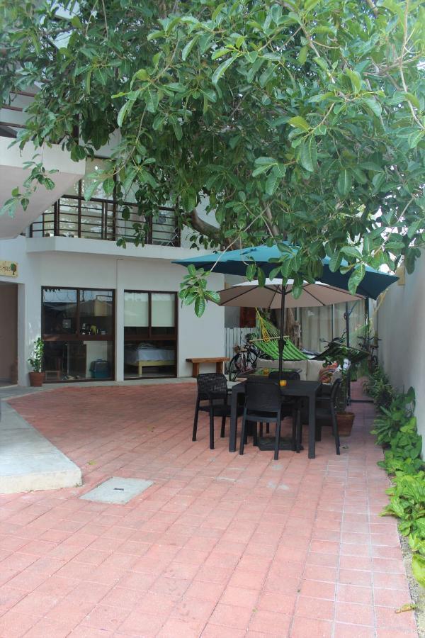 Opis Haus *