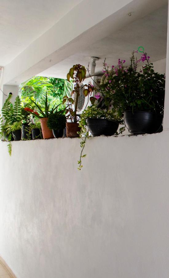 Casa Mar Appartement