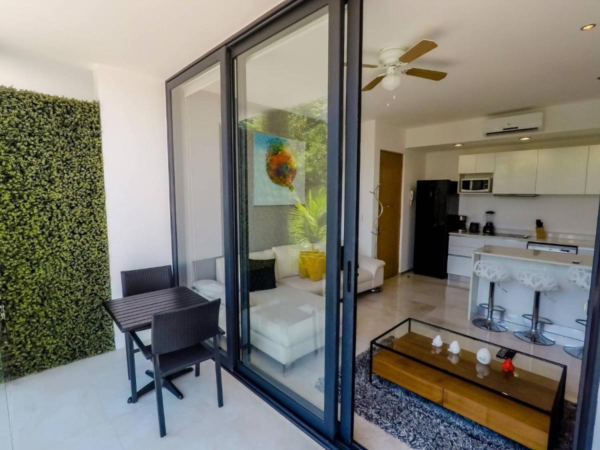 Lovely 1 Bedroom Apartment, 3 Blocks To Mamitas, Roof Pool Views, Bbq Apartment