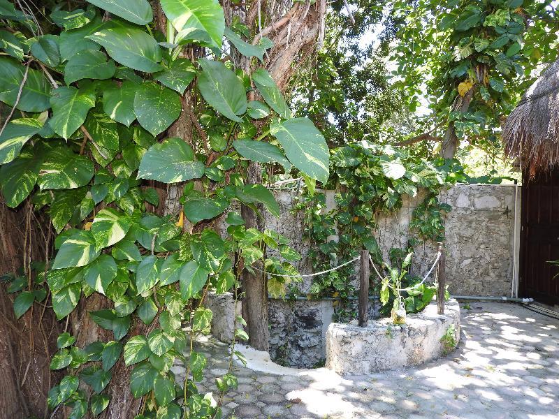 Casaejido 3* Playa del Carmen