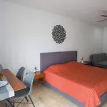 Menesse Midtown Studio