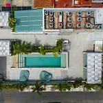 Newport Confort Y Estilo En Armonia