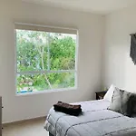Franks House Collection Corifa