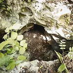Xcaret Monkeys And Nature Stay