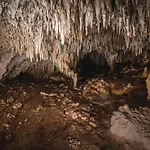 Xcaret Monkeys And Nature Stay