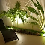 Casa Felicidad B&B Room & Kitchen