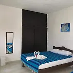 Posada Olmeca