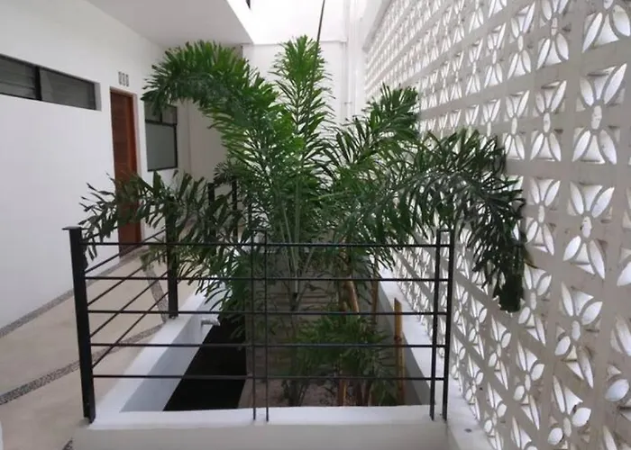 Maya Home