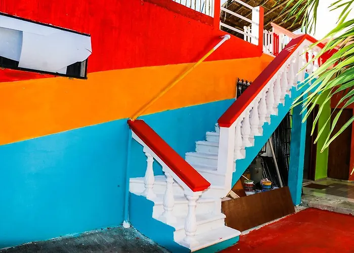 Guacamaya Hostel