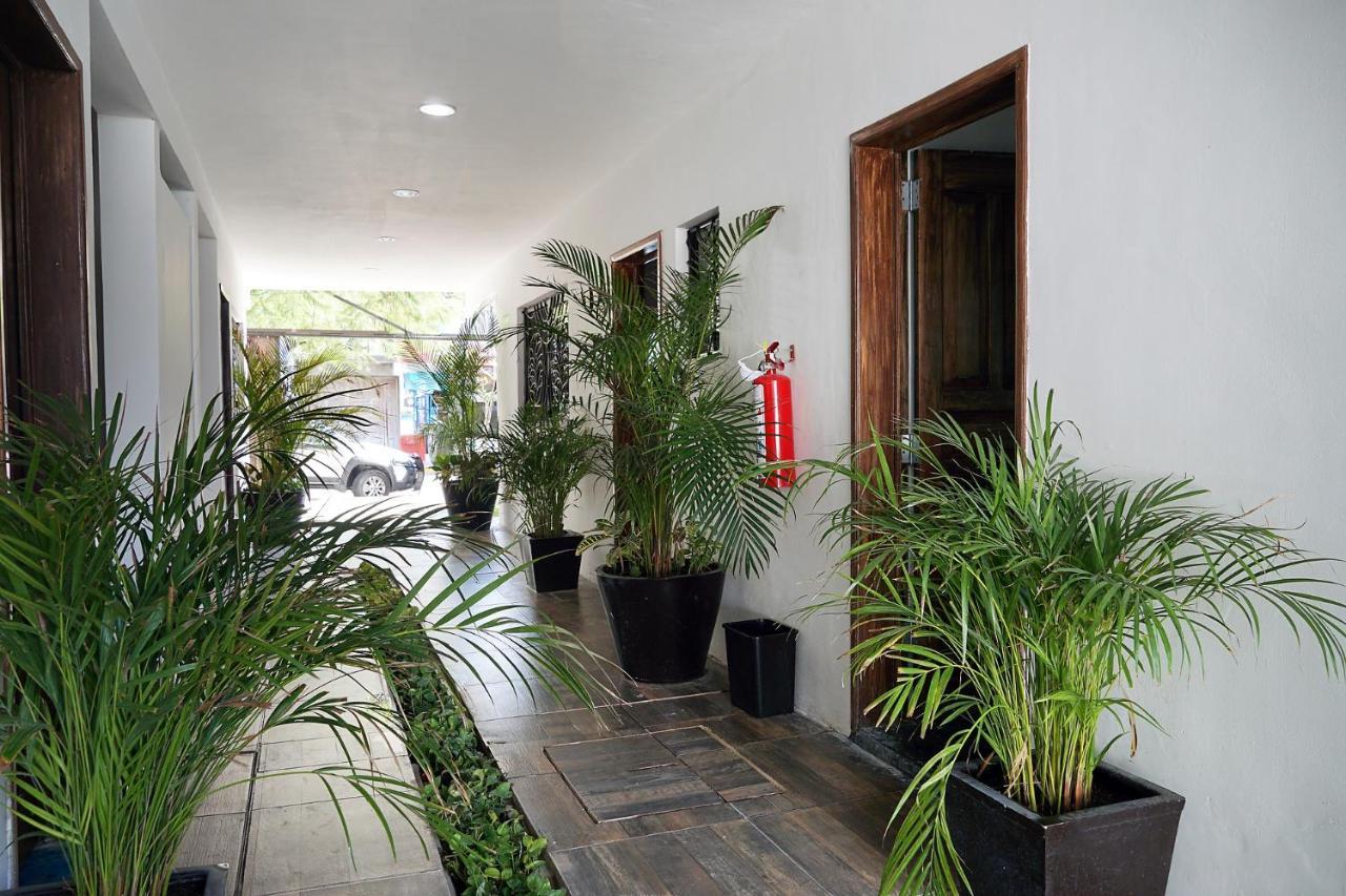 Hostel Red Panda Playa del Carmen