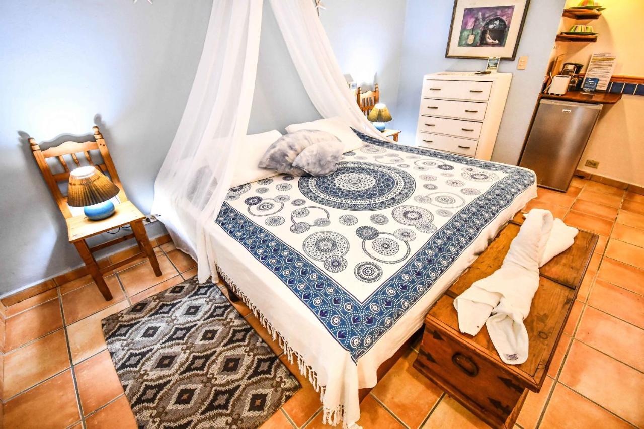 Casa Freud *