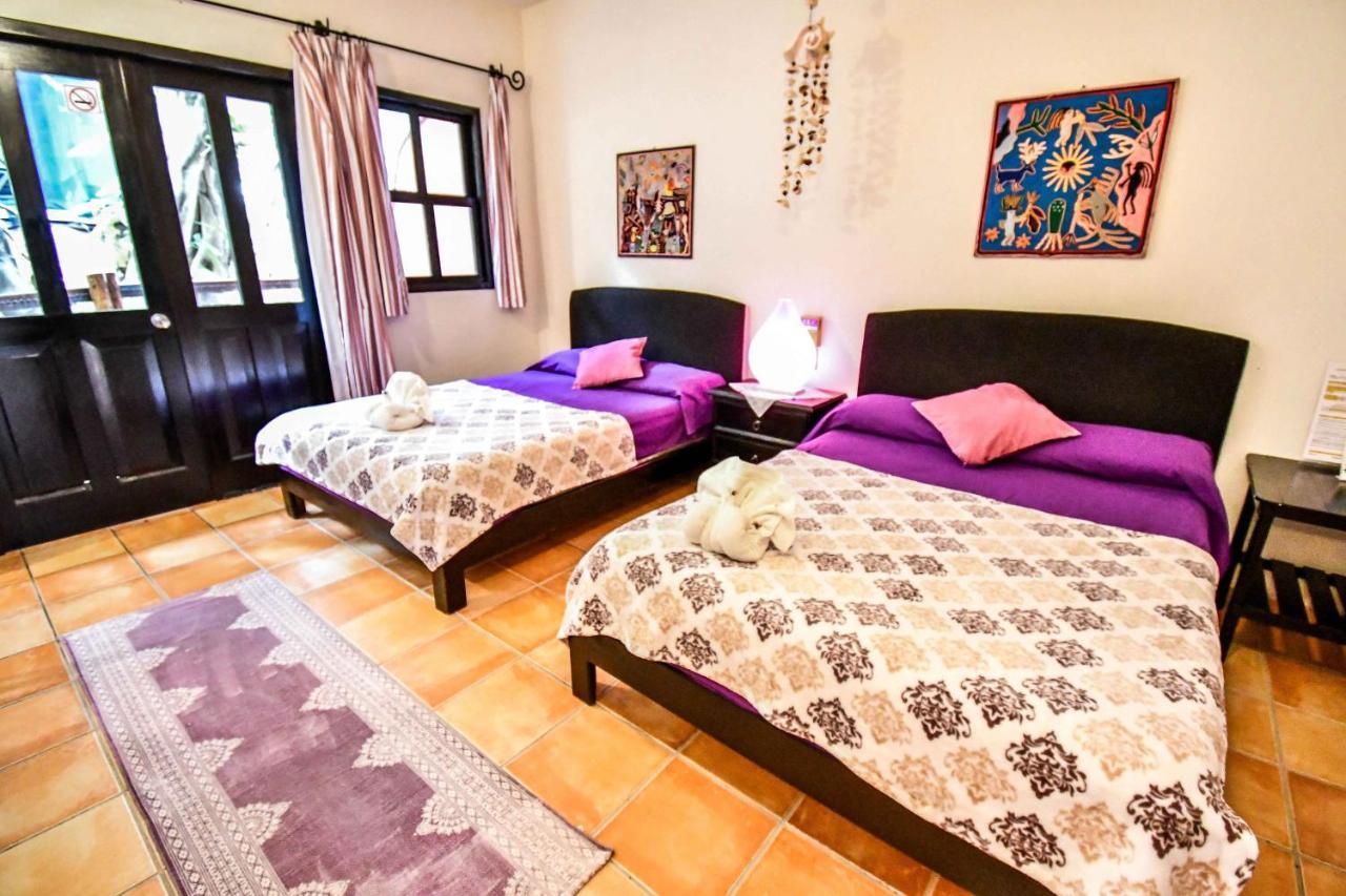 Aparthotel Casa Freud *