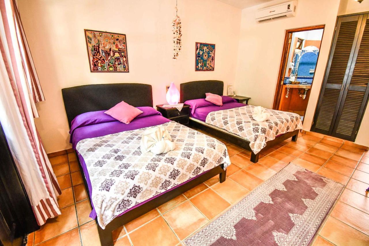 Aparthotel Casa Freud *