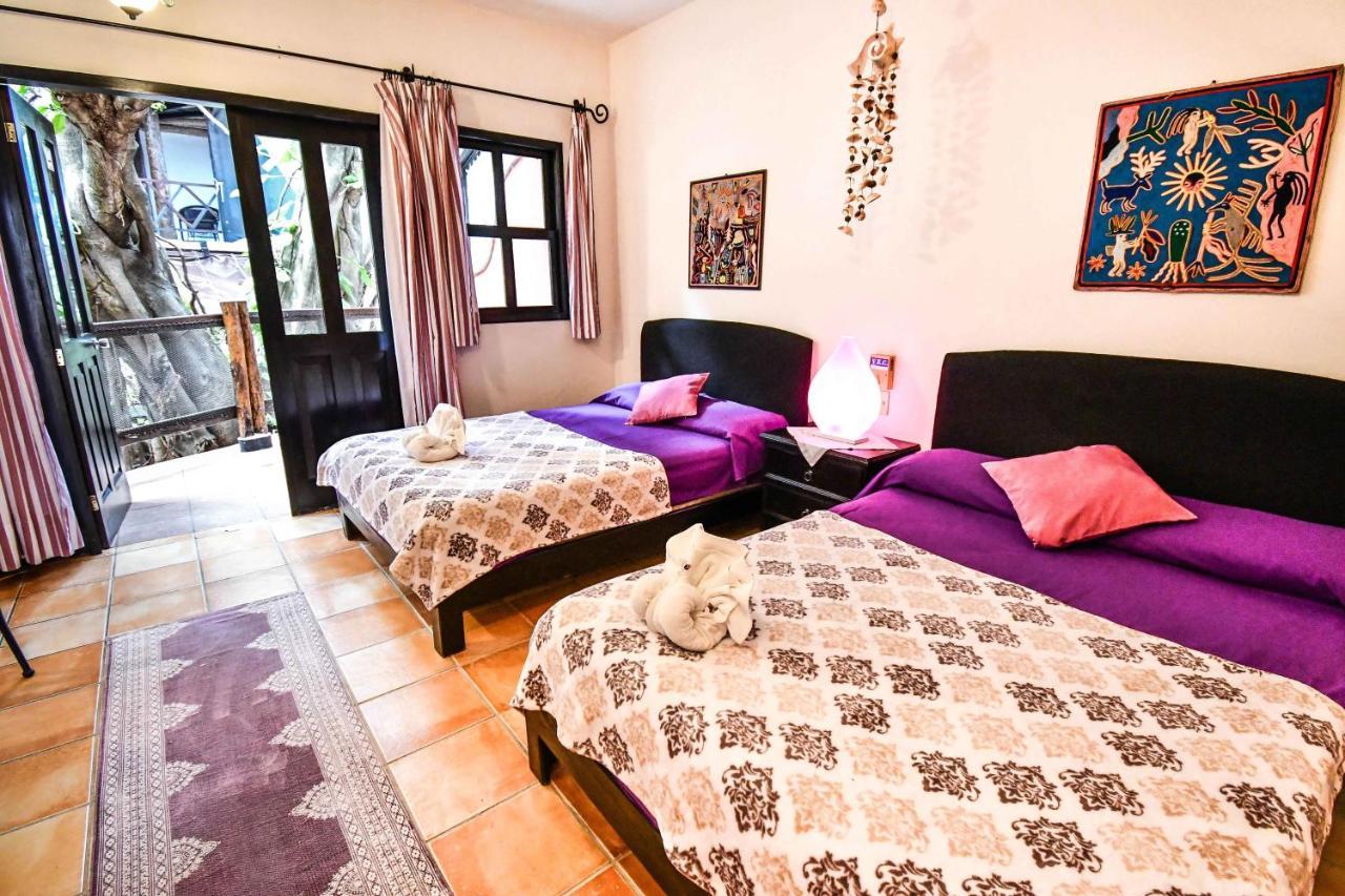 Aparthotel Casa Freud *
