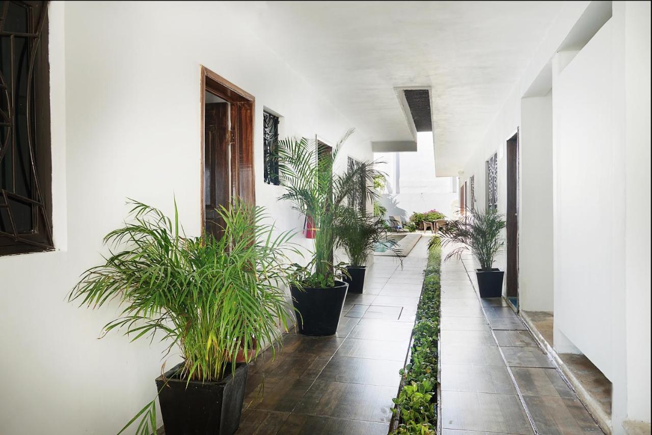 Hostel Red Panda Playa del Carmen