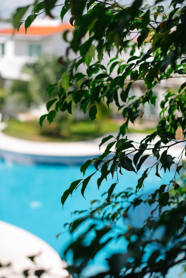 Playacar By Myrica *