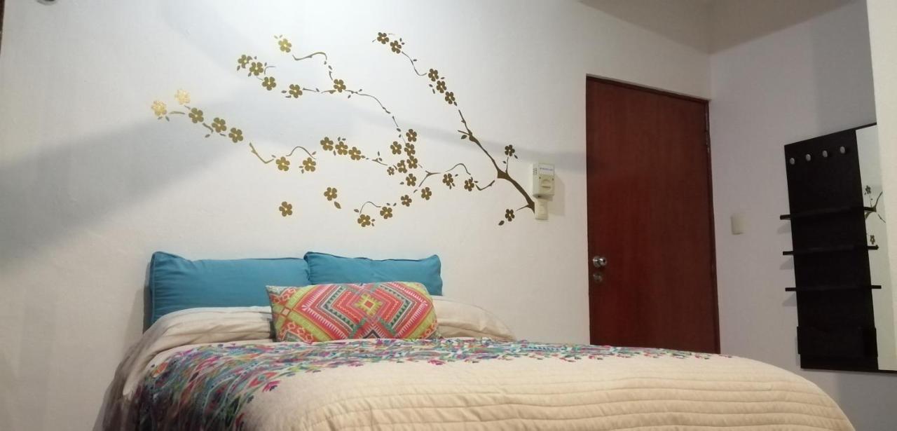 Hogar Y Salud En Playa Playa del Carmen