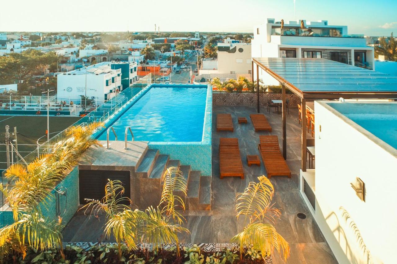 Apartment Playa 4020 With Rooftop Pool Near 5th And Beach *