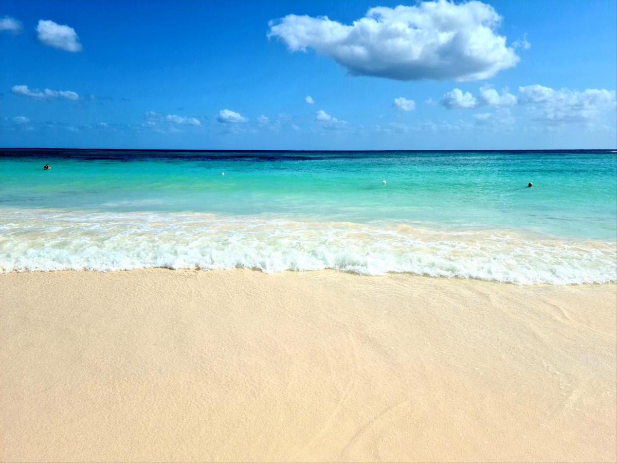Ubicacion Inmejorable A Pasos De Playacar Beach Y 5ta Av * Playa del Carmen