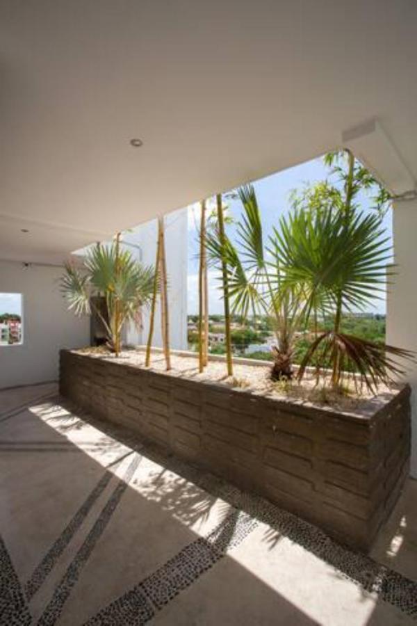Maya Appartement