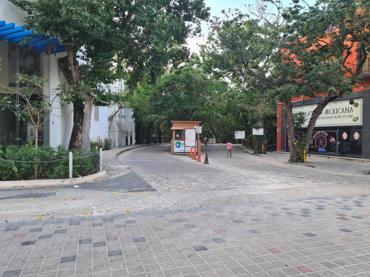 Ubicacion Inmejorable A Pasos De Playacar Beach Y 5ta Av Apartment