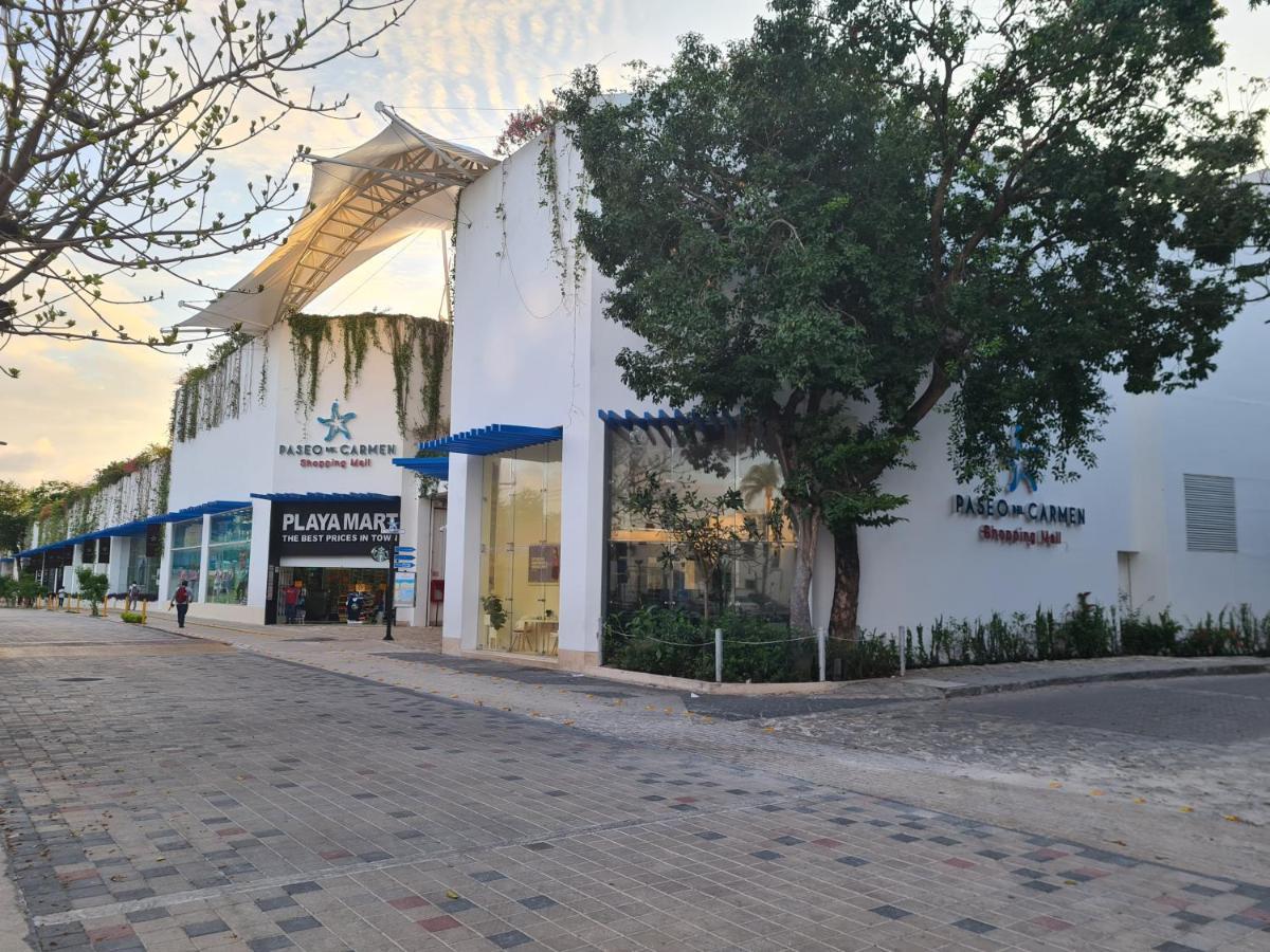 Ubicacion Inmejorable A Pasos De Playacar Beach Y 5ta Av Apartment *