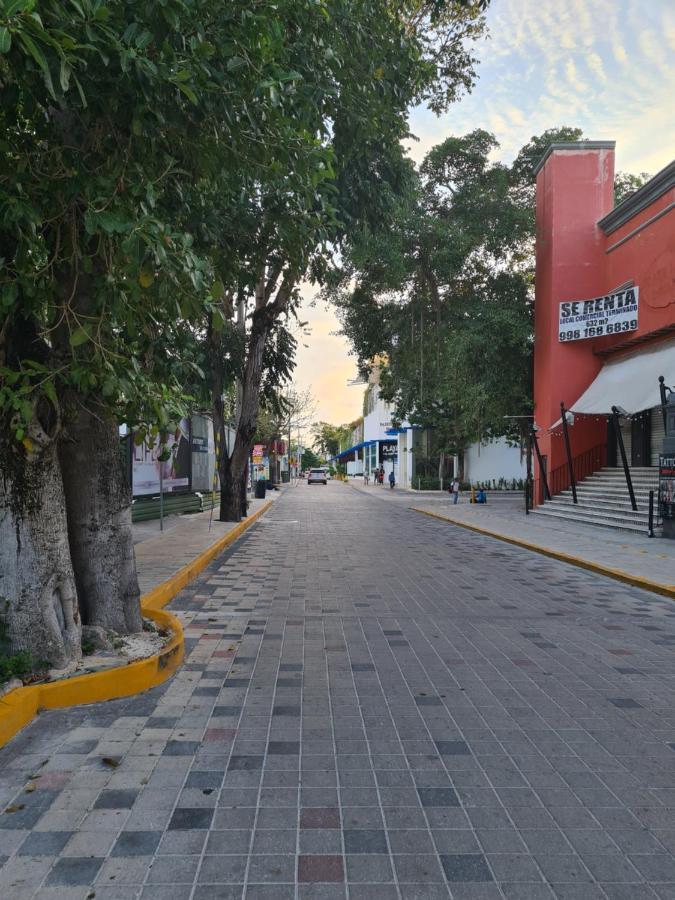Ubicacion Inmejorable A Pasos De Playacar Beach Y 5ta Av * Playa del Carmen