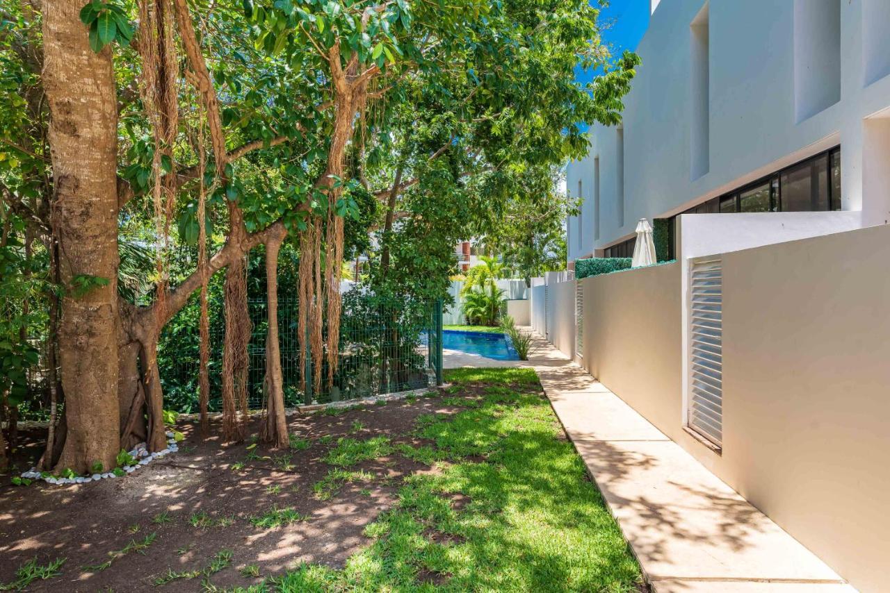 Entire House- 3br With Private Roof Deck