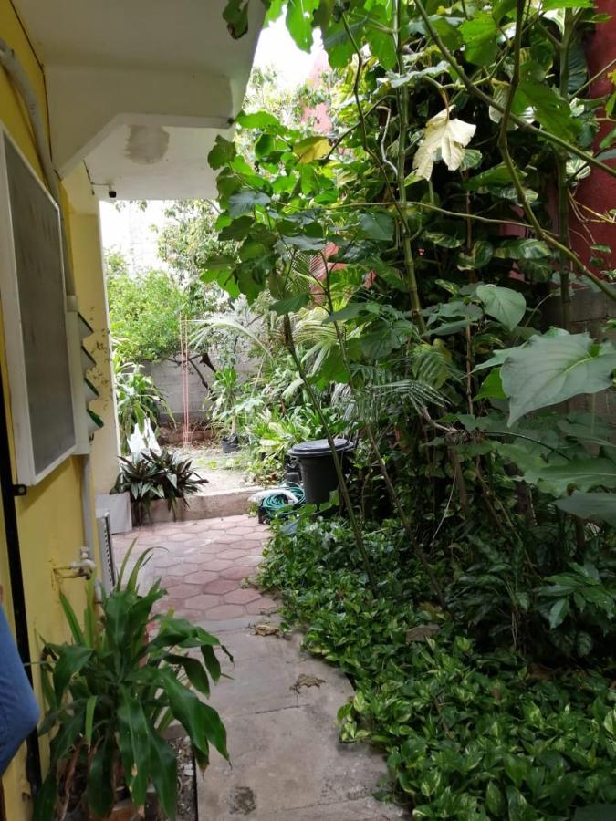 Flamingo Apartment *