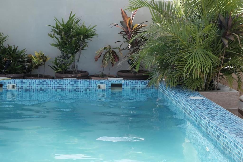 Apartamento Yellow Playa del Carmen