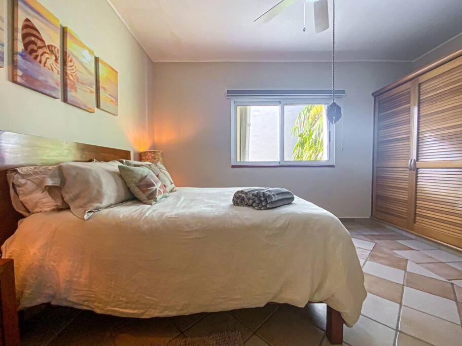 Сasa de vacaciones Playa Gem-a Unique Penthouse In Heart Of Downtown! Playa del Carmen