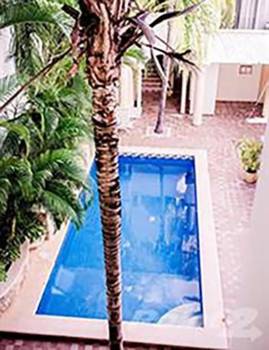 Playa Gem-a Unique Penthouse In Heart Of Downtown! Сasa de vacaciones *