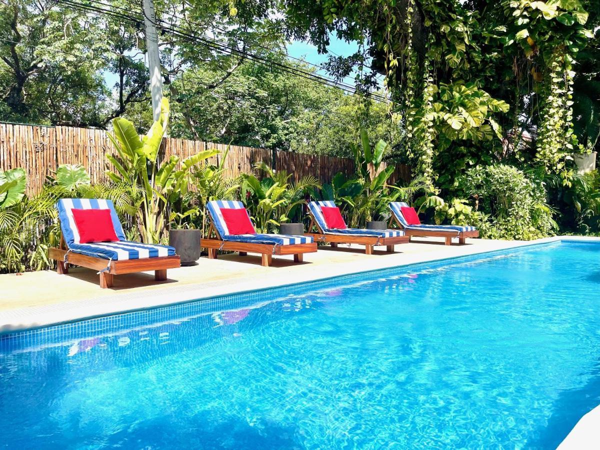 Comfortable Department Apartment Playa del Carmen
