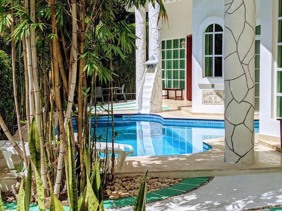 Castillo Playacar: Large Group Beachfront With Rooftop Pool *