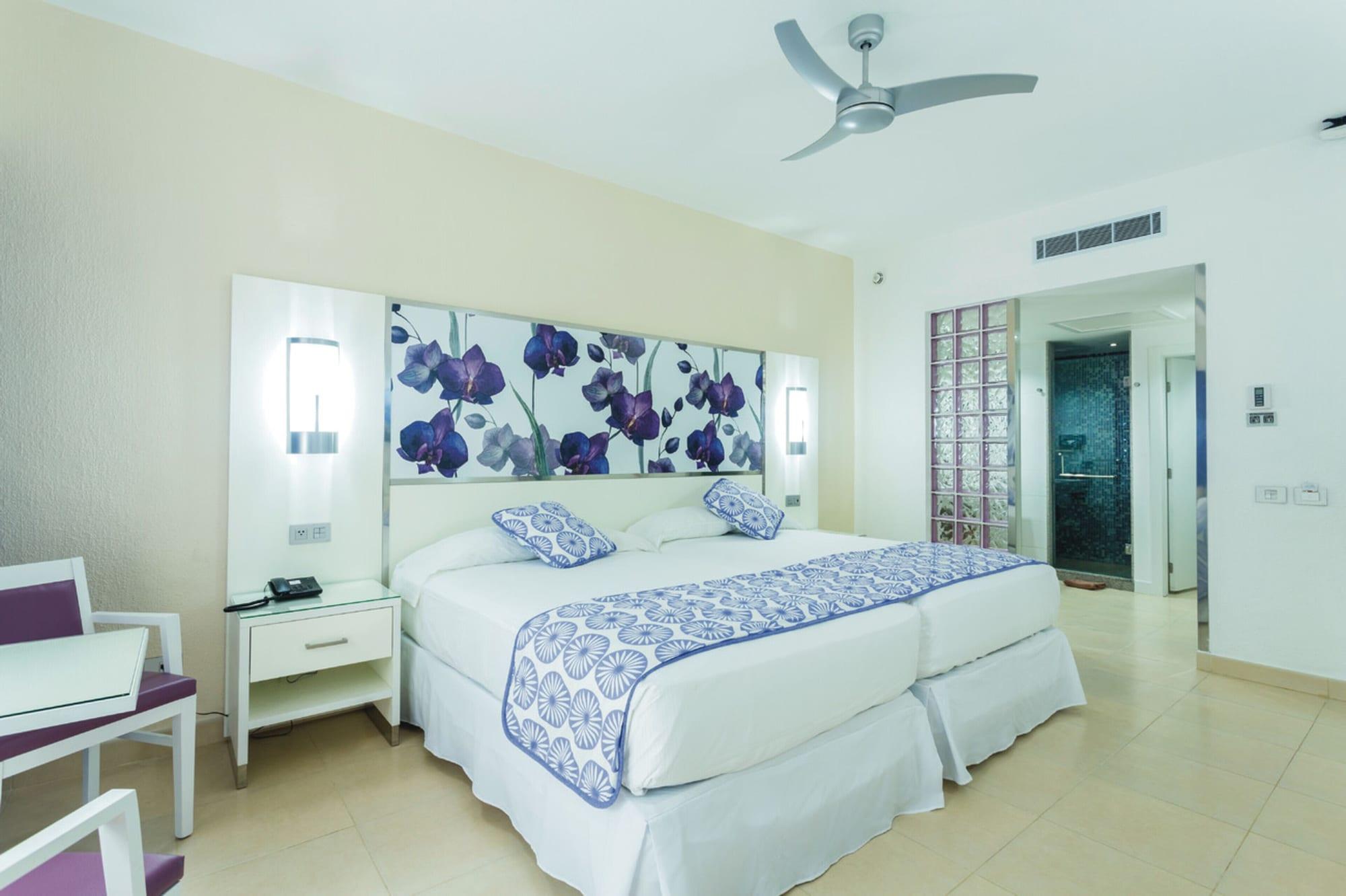 Hotel Riu Playacar