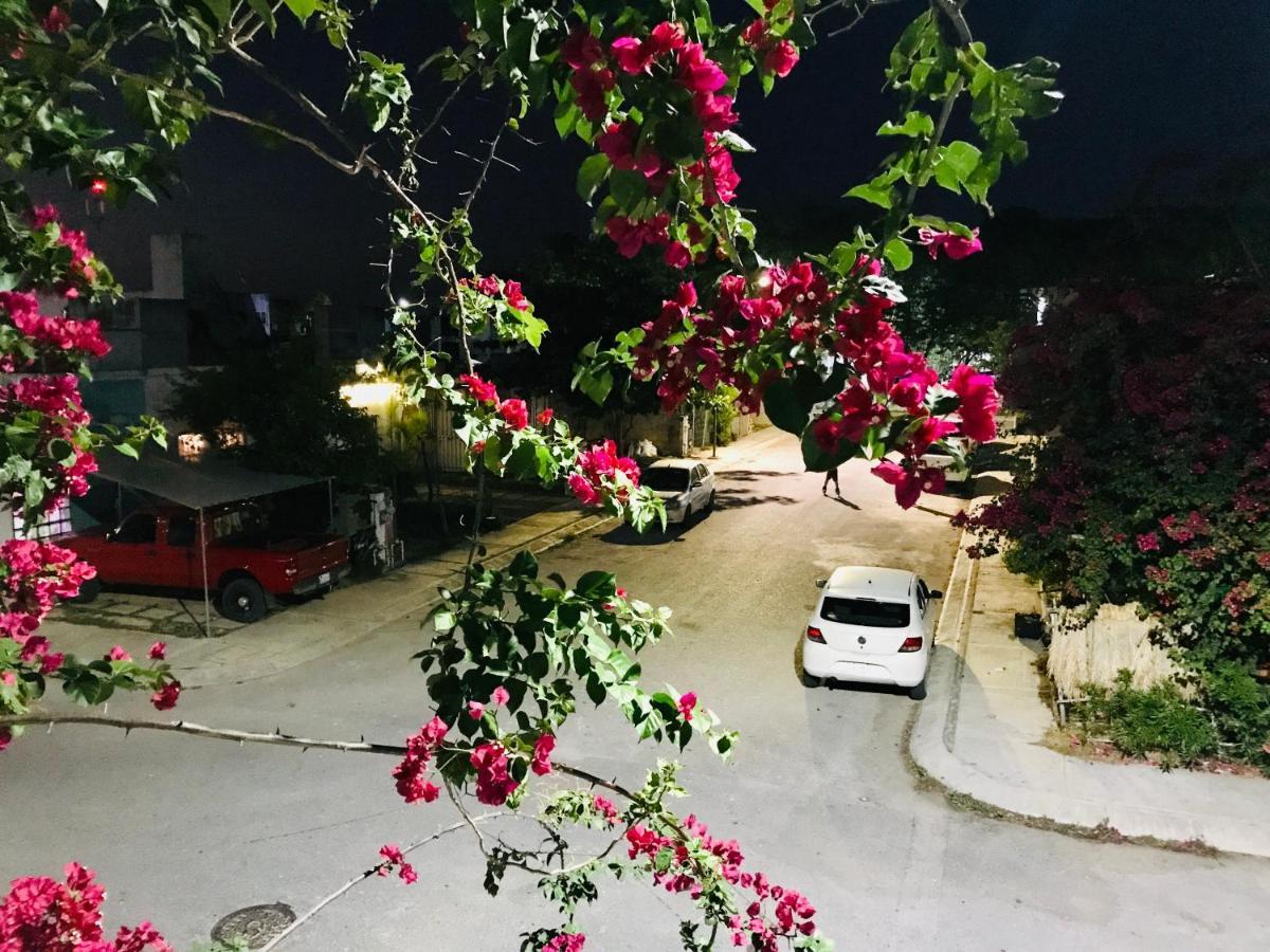 Cozy Tiny Acasadialexplayadelcarmen
