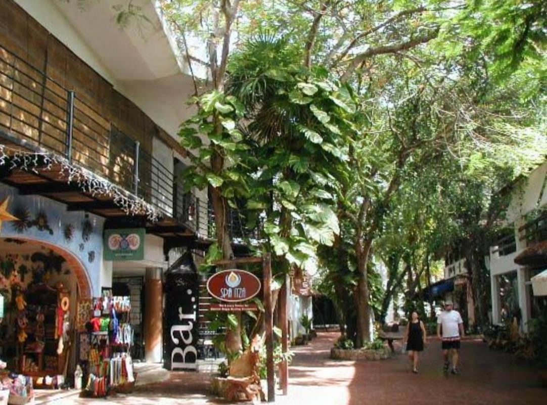 Apartment Caribbean Oasis Playa del Carmen