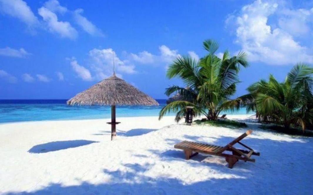 Apartment Caribbean Oasis Playa del Carmen
