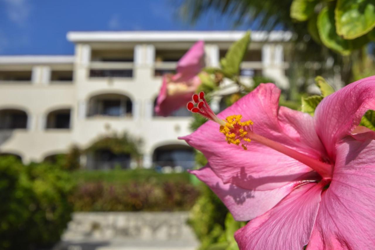 Perfect For Families Wonderful Refreshing Pool And Pool Bar Xh7122 *