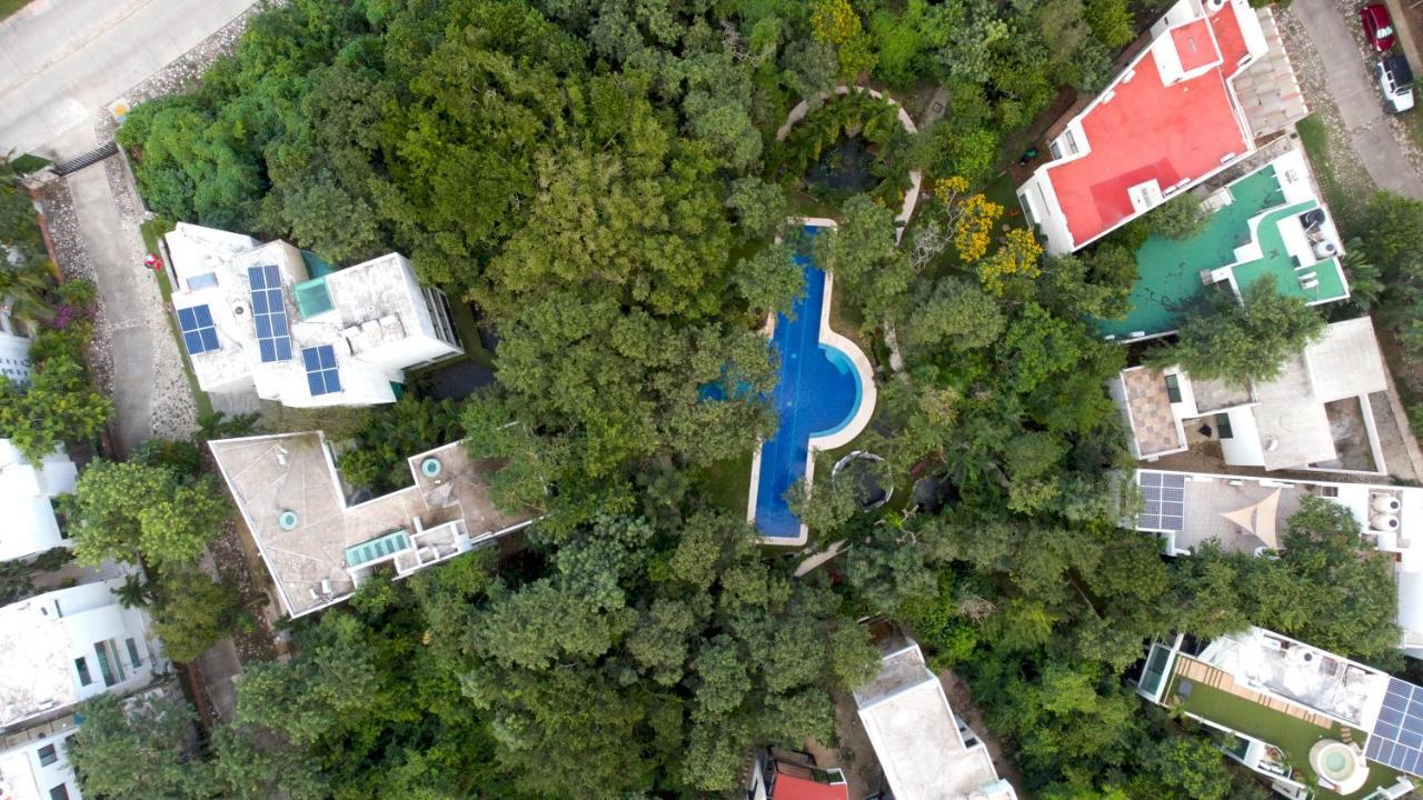 Luxury Jungle House - Amazing Design - 3 Floors * Playa del Carmen