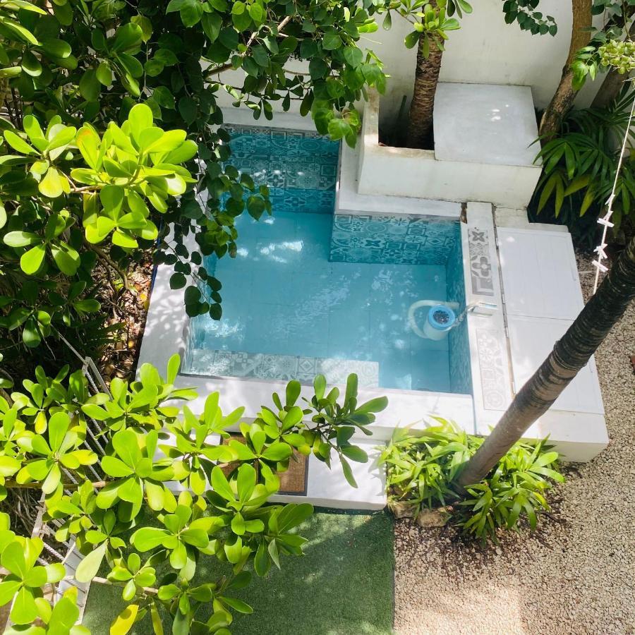 Cozy Tiny Acasadialexplayadelcarmen Apartamento Playa del Carmen